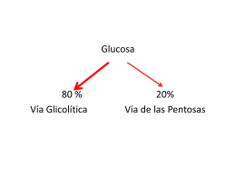 via de las pentosas gluconeogenesis 2015