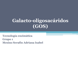 Galacto-oligosacáridos (GOS) Tecnología enzimática Grupo 1