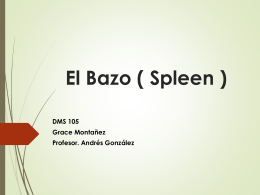 El Bazo ( Spleen )