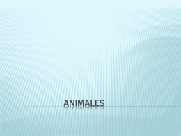 animales - ActividadesInteractivas