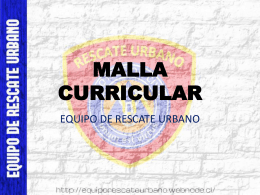 MALLA CURRICULAR (331754)