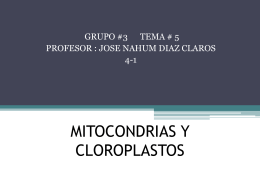 Otros tipos de plastos - biologialasalle4-1