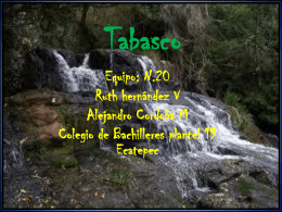 Tabasco - 255-020