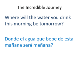 The Incredible Journey - WaterIssues-McCarthy-MJ-FA11