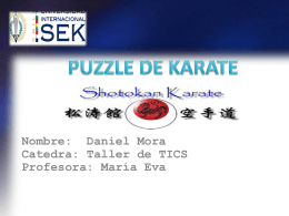puzzle de karate