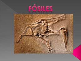fósiles - juliohdz