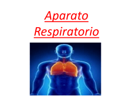 Enfermedades del aparato respiratorio (2)