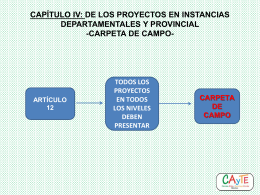 CAPÍTULO IV: DE LOS PROYECTOS EN INSTANCIAS