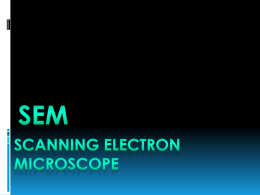 Scanning Electron Microscope SEM - cienciamat-cgn