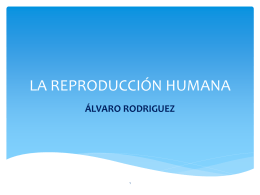 LA REPRODUCCIÓN HUMANA (por Álvaro Rodríguez)