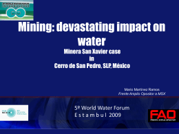 Cerro de San Pedro - 5th World Water Forum Content Management System