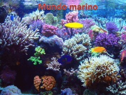 Mundo Marino - anahirobles