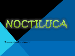 noctiluca - Ms. Marcos` Biology Wiki