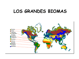 los grandes biomas zonas climáticas