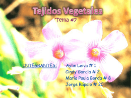 Tejidos Vegetales INTEGRANTES - biologialasalle4-1
