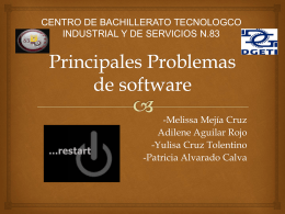 Principales Problemas de software (598812)