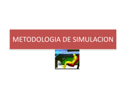 METODOLOGIA DE SIMULACION