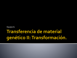 Transferencia de material genético II: Transformación.