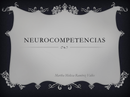 Neurocompetencias