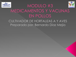 MODULO #3 MEDICAMENTOS Y VACUNAS EN POLLOS