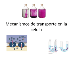 Mecanismos de transporte en la célula