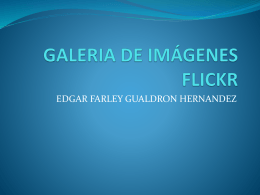 GALERIA DE IMÁGENES FLICKR