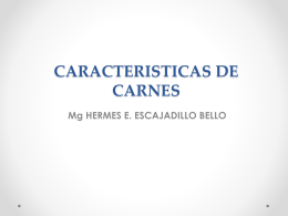 CARACTERISITCAS DE CARNES.