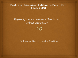 Pontificia Universidad Católica De Puerto Rico Titulo V-TSI