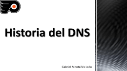 Historia del DNS. - Servicios de Red e Internet