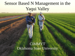Sensor Based N Management in the Yaqui Valley, Dr. Ivan Ortiz