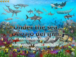 Under the sea. - SBAS