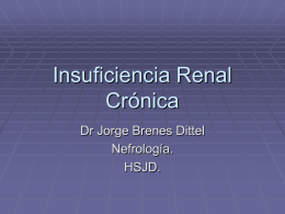 Insuficiencia Renal Crónica
