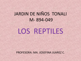 JARDIN DE NIÑOS TONALI M- 894-049