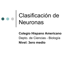 Clasificación de Neuronas