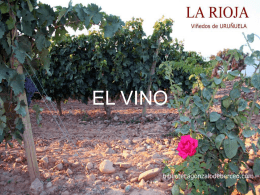 EL VINO Y LA RIOJA (imágenes de La Rioja