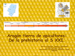 Aragón tierra de apicultores: De la prehistoria al