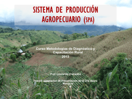SISTEMA DE PRODUCCIÓN AGROPECUARIO
