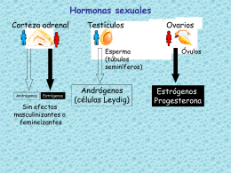 Diapositiva 1 - EPIDEMIOLOGIA Y ANATOMÍA 2 |