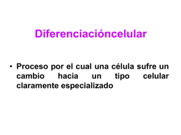 Diferenciacióncelular - Biología Celular y