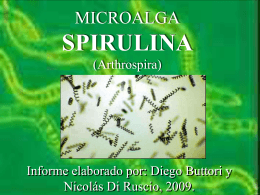 Spirulina Presentación Final (Verde)