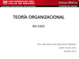 TEORÍA ORGANIZACIONAL AD-3101