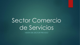 Presentación Sector Comercio de Servicios