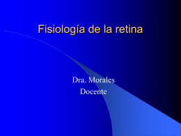 Fisiología de la retina