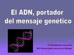 Diapositiva 1 - Universidad Laboral de Málaga