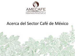 Acerca del Sector Café de México