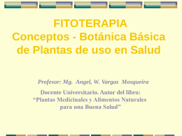 FITOTERAPIA Conceptos - Botánica Básica de Plantas