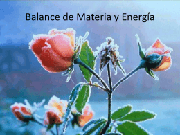 Balance de Materia y Energía