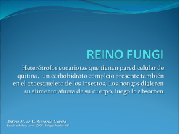 REINO FUNGI - Professor Fláudio