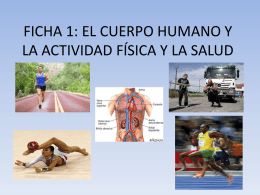 FICHA 1: EL CUERPO HUMANO Y LA ACTIVIDAD FÍSICA Y