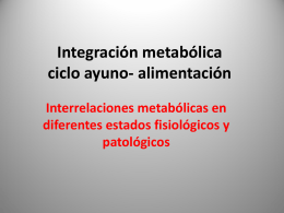 Integración metabólica ciclo ayuno